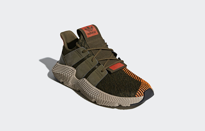 trace olive prophere
