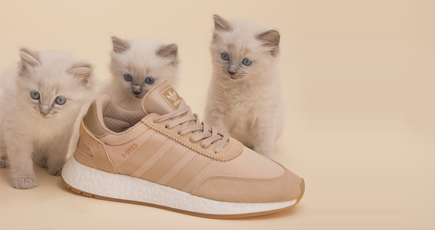 The Sneakersnstuff’s adidas I-5923 Collaboration Is As Cozy As Kittens 02