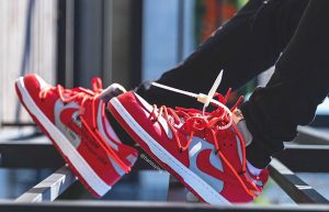 Off-White Nike Dunk Low Red Grey CT0856-600 on foot 01