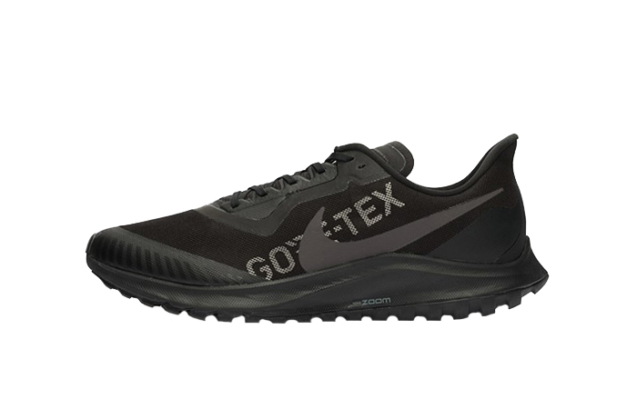 Nike Zoom Pegasus 36 Trail GTX Black BV7762-001 01
