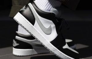 Nike Air Jordan 1 Low Smoke Grey 553558-039 on foot 01
