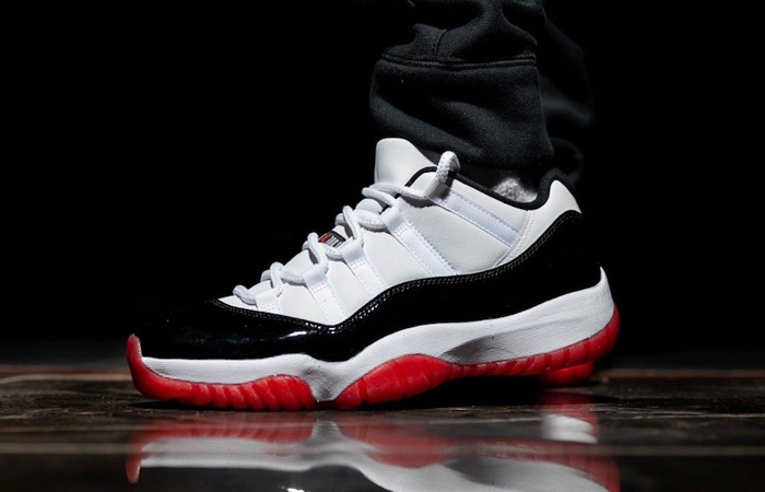 concord 11 low bred