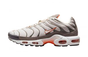 Nike Air Max Plus First Use Brown DB0681-200 featured image