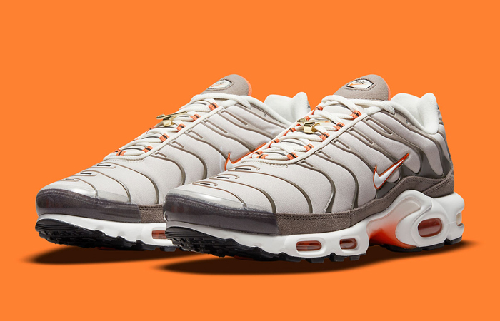 Nike Air Max Plus First Use Brown DB0681-200 front corner