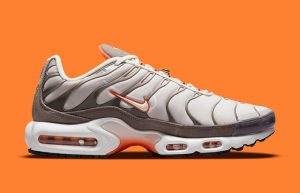 Nike Air Max Plus First Use Brown DB0681-200 right