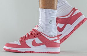 Nike Dunk Low White Archeo Pink DD1503-111 on foot 05