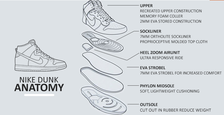Nike Dunk Anatomy