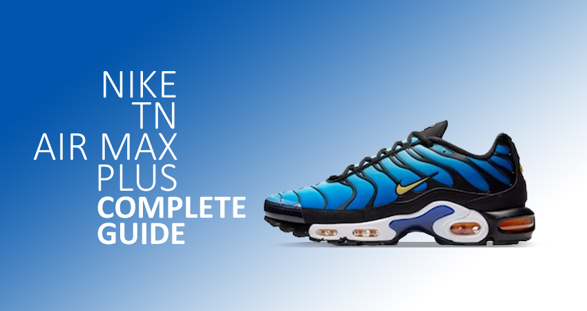 TN Air Max Plus: A Complete Guide - Fastsole