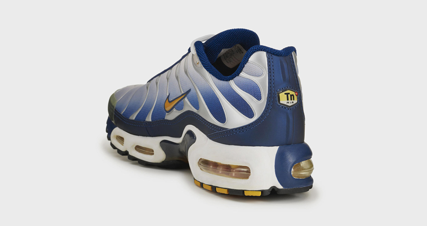 Untold Story About Nike TN Air Max Plus
