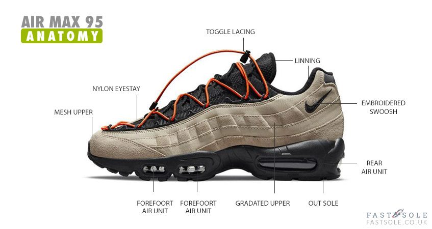 Air Max 95 Anatomy by Fastsole