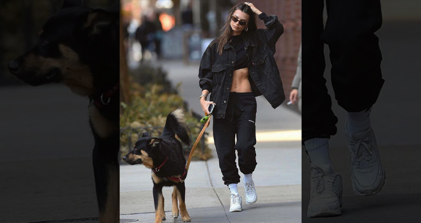 Emily Ratajkowski spotted with air max 90