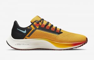 Nike Air Zoom Pegasus 38 Ekiden DO2423-739 right