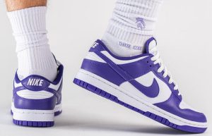Nike Dunk Low White Court Purple DD1391-104 onfoot 02