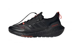adidas Ultra Boost 21 GORE-TEX Carbon Black FZ2555 featured image
