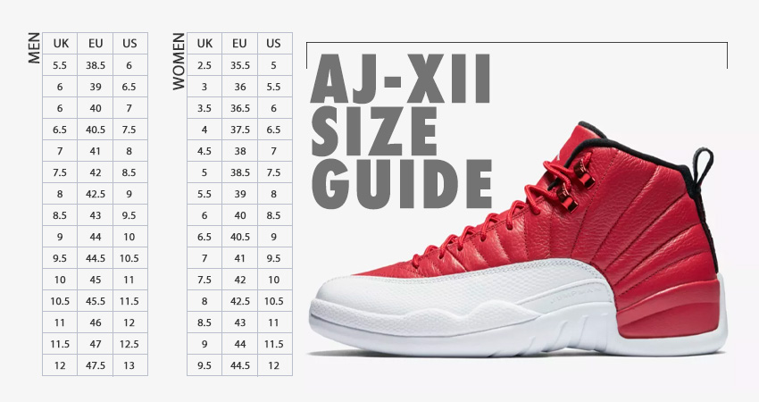 Air Jordan 12 Size Guide