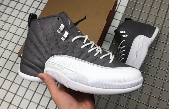 rare jordan 12