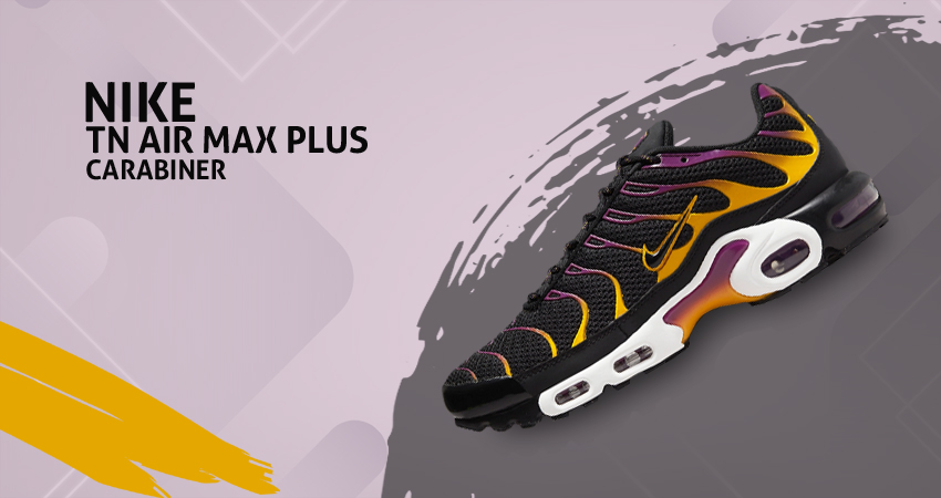 A Carabiner Is Included With The Nike TN Air Max Plus featured image