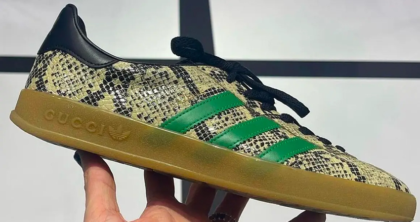 All the Details of the Upcoming Gucci x adidas Gazelle Collection 03