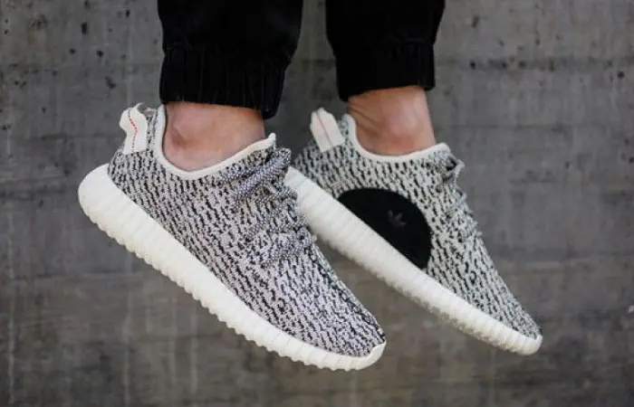 Yeezy turtle dove on on sale feet