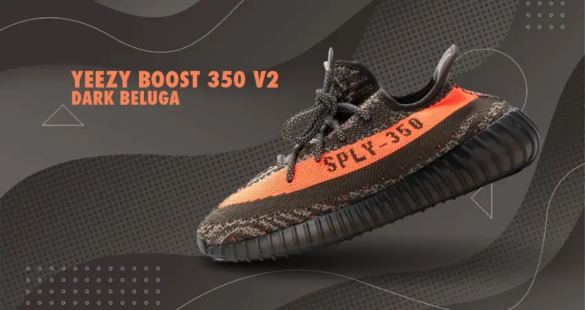adidas Yeezy Boost 350 V2 Dark Beluga Release Date