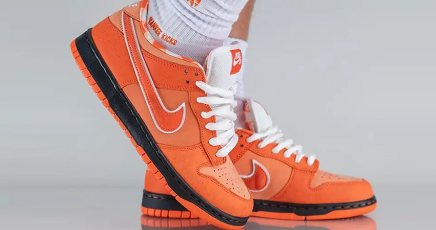 A Clear Look At Concepts x Nike SB Dunk Low Orange Lobster 01