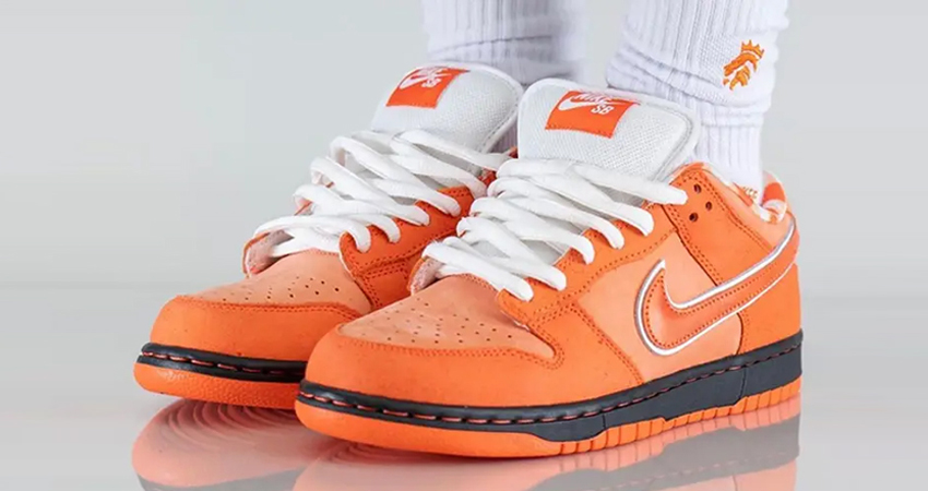 A Clear Look At Concepts x Nike SB Dunk Low Orange Lobster 04