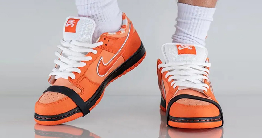 A Clear Look At Concepts x Nike SB Dunk Low Orange Lobster 05