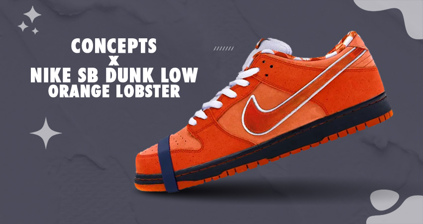 800 - Concepts x Nike SB Dunk Low Orange Lobster White Black