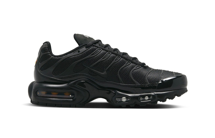 Nike Air Max Plus Black Reflective FB8479-001 right