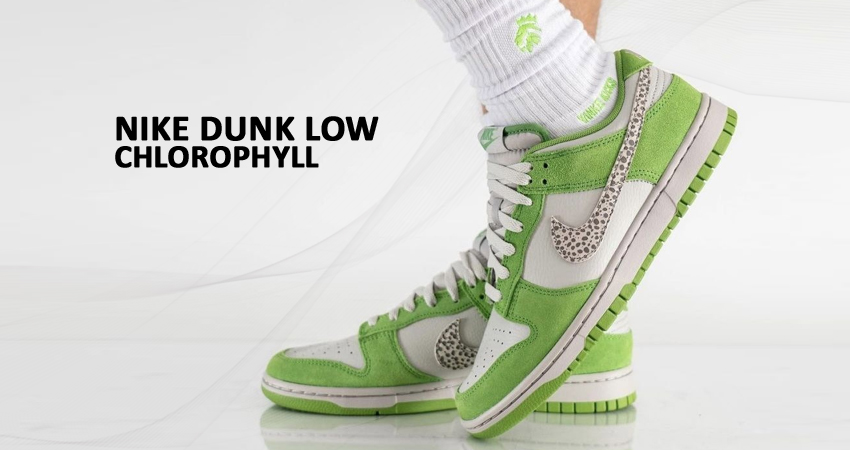 Nike Dunk Low “Chlorophyll” Marks Another Safari Style Swoosh featured image