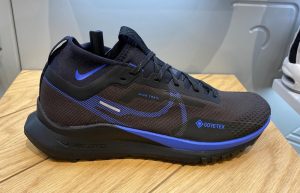 Nike Pegasus Trail 4 Gore-Tex Brown Blue FB2193-200 01