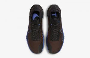 Nike Pegasus Trail 4 Gore-Tex Brown Blue FB2193-200 up