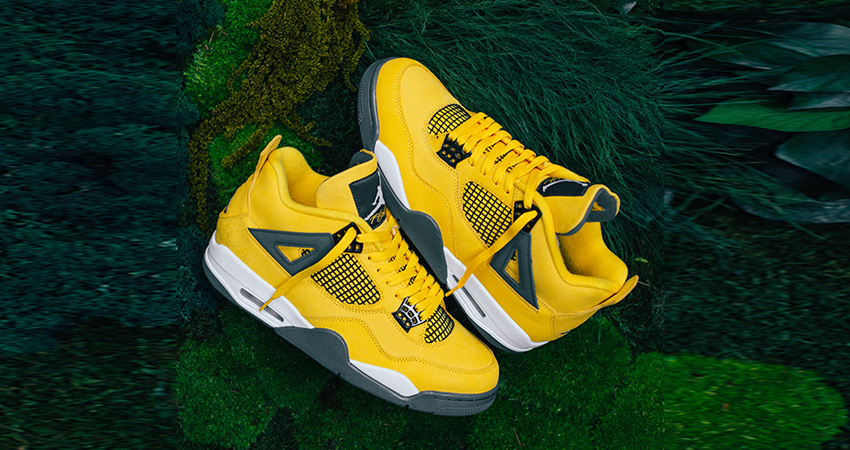 Holy Grails From The Air Jordan 4 Retro Collection 01