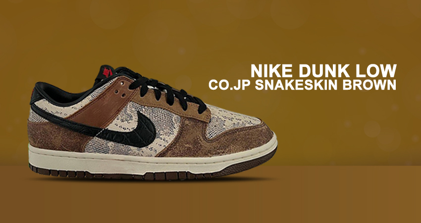 Nike Dunk Low CO.JP Arrives In Brown Aesthetic