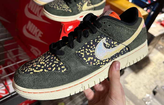 Nike Dunk Low Rainbow Trout FN7523-300 01