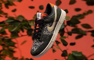 Nike Dunk Low Rainbow Trout FN7523 300 lifestyle left