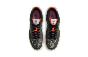 Nike Dunk Low Rainbow Trout FN7523 300 up