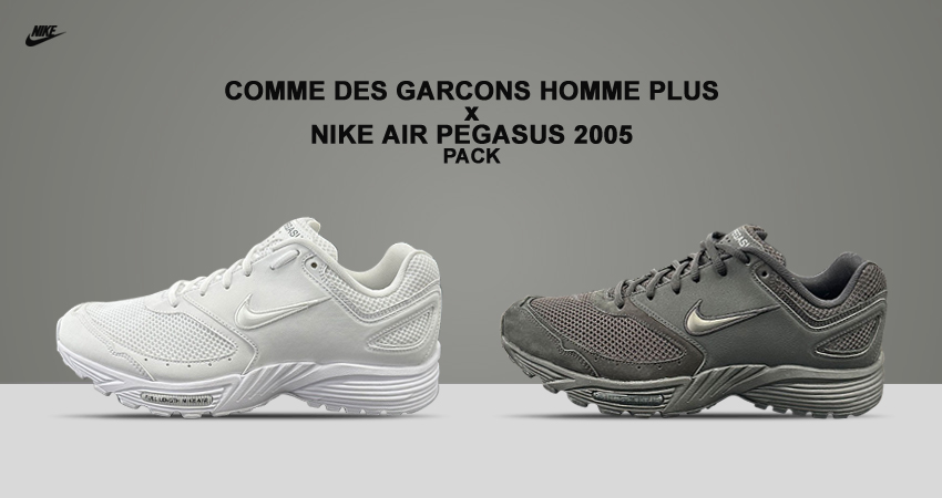 Jumping jack Elektronisch verraad Everything About The COMME des GARÇONS Homme Plus x Nike Air Pegasus 2005 -  Fastsole