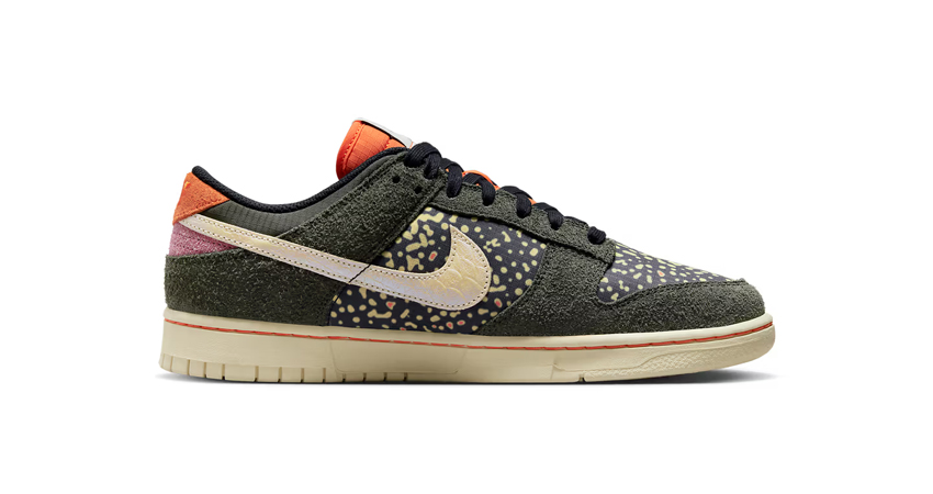 Nike Dunk Low Rainbow Trout Out With A Release Date right
