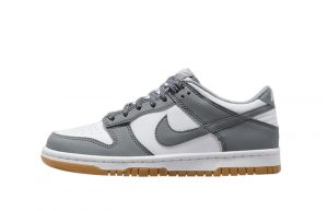 Nike Dunk Low GS White Grey Gum FV0374 100 featured image