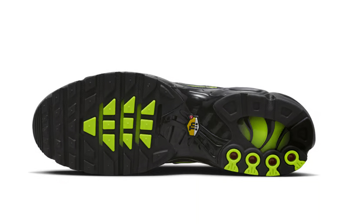 Nike TN Air Max Plus Black Volt Grey FQ2381 001 down