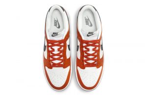 Nike Dunk Low Starry Swoosh FV6909 800 up