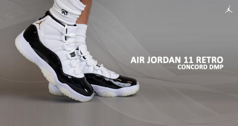 Aj 11 sales concord on feet