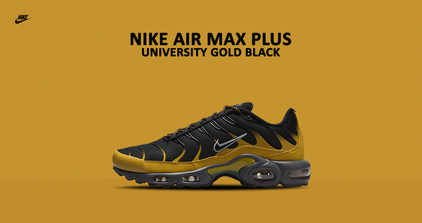 The Nike Air Max Plus Adorns A Black And University Gold Colourway