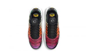 Nike TN Air Max Plus Rainbow DZ3670 001 up