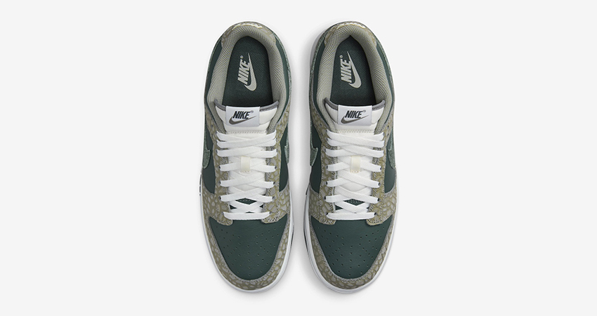 Nike Dunk Low Premium Turtle Shell Vibes Dropping This Spring up