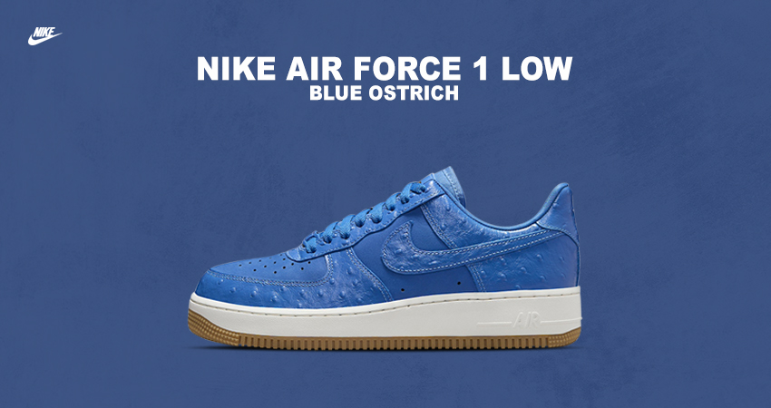Nike's "Blue Ostrich" Air Force 1 Eggs Hatch This Spring
