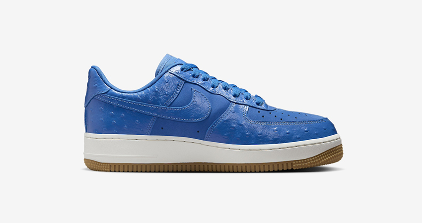 Nikes Blue Ostrich Air Force 1 Eggs Hatch This Spring right