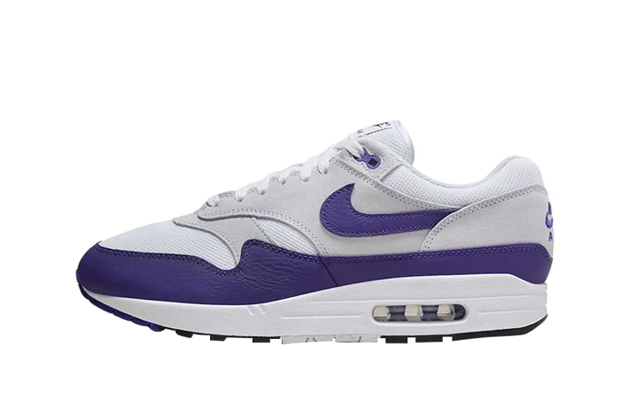 Nike Air Max 1 Field Purple DZ4549 101 featured image