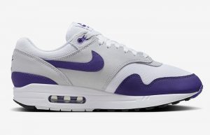 Nike Air Max 1 Field Purple DZ4549 101 right